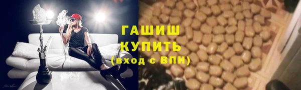 ГАЛЛЮЦИНОГЕННЫЕ ГРИБЫ Вяземский